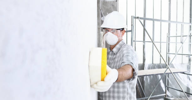 Best Mold Damage Restoration  in Clark Mills, NY